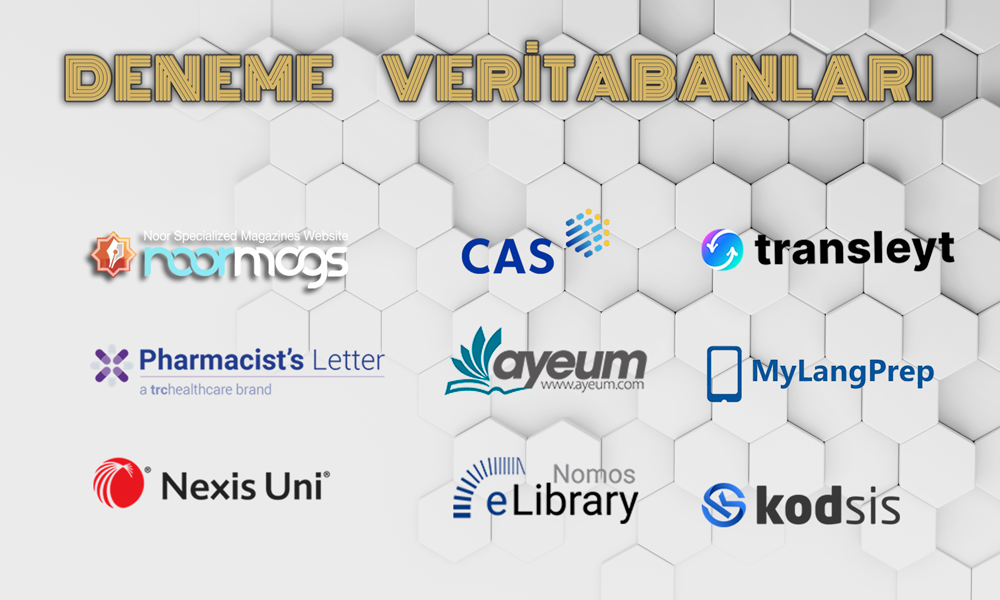 Deneme Veritabanları